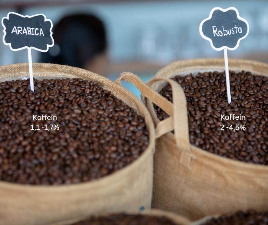 Arabica und Robusta Kaffeebohnen Koffeingehalt