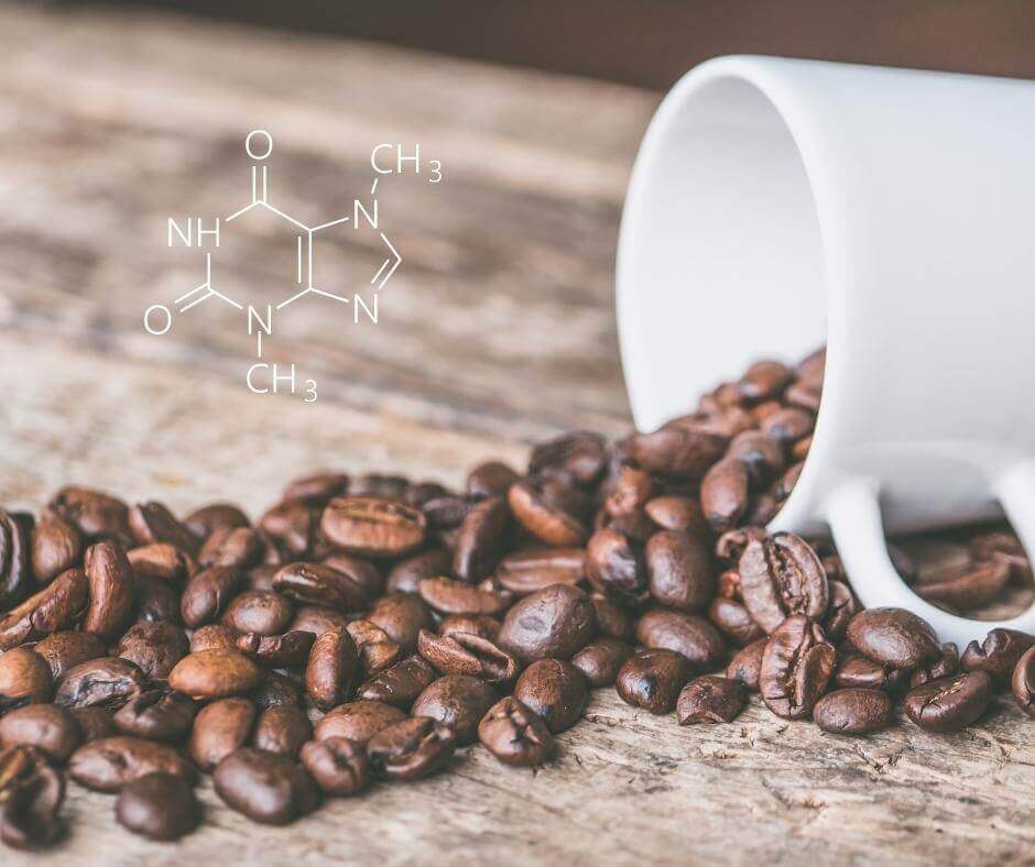 Kaffeebohnen und Kaffein chemische Zusammensetzung