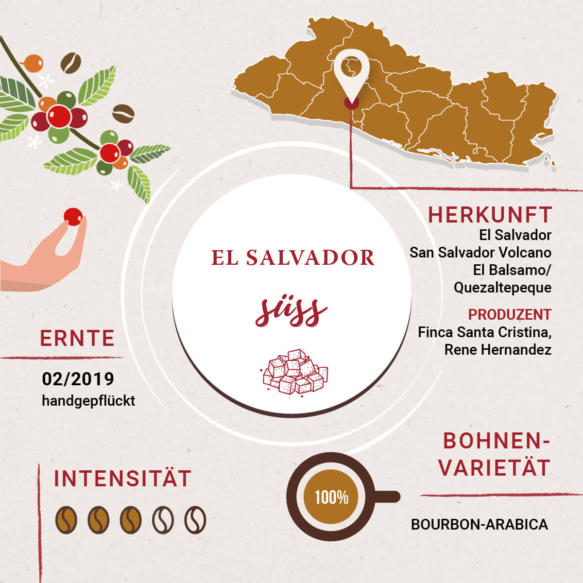 Linea Rossa El Salvador Kaffee Infografik