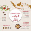 Linea Rosa Bali Paradise Infografik