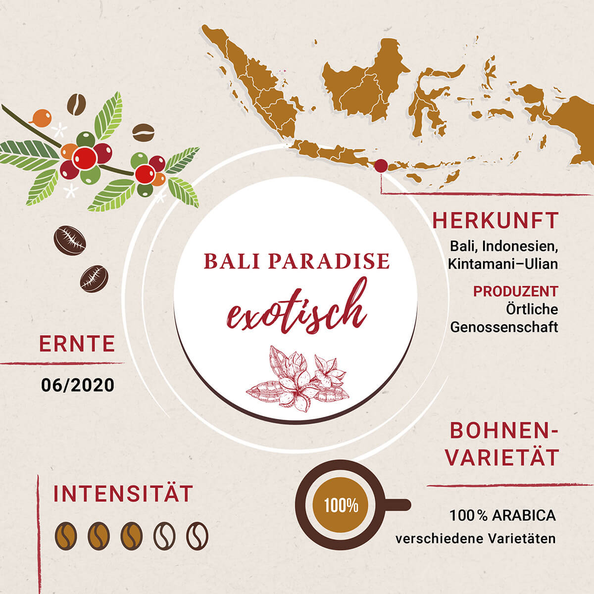 Linea Rosa Bali Paradise Infografik