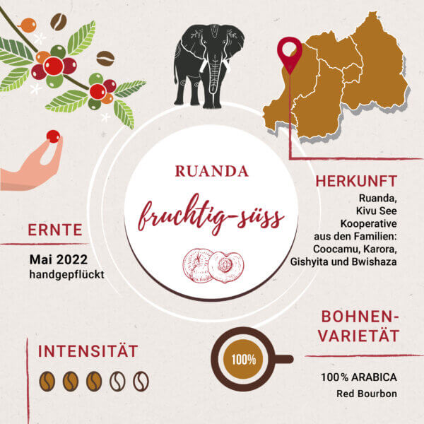 Linea Rossa Kaffee aus Ruanda Infografik